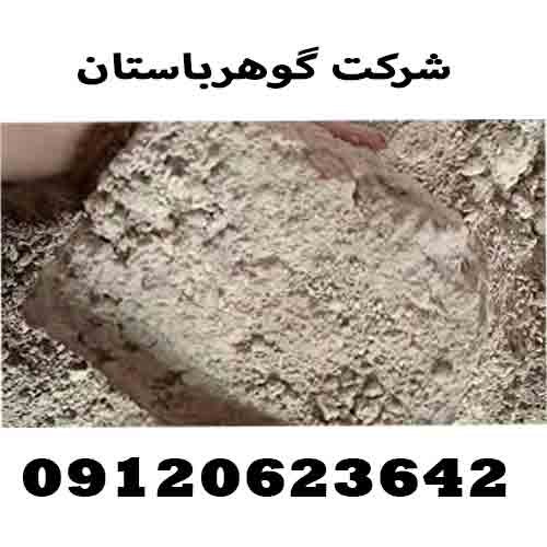 ساروج و کشف گنج یابی